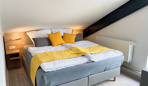 Habitación clásica con 1 cama doble o 2 individuales