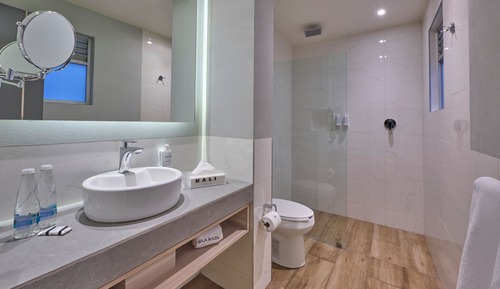 Habitación Premier
