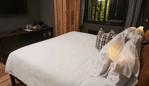 Habitación Premier con 1 cama doble o 2 individuales