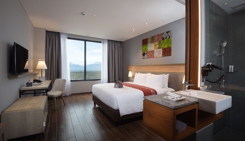 Habitación Deluxe con 1 cama doble o 2 individuales