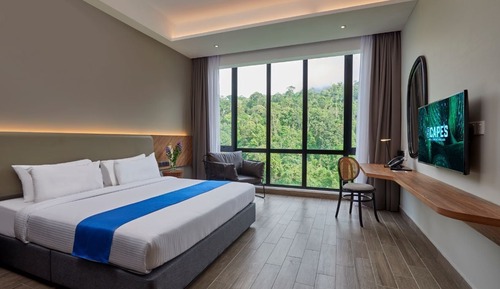 Habitación Deluxe, 1 cama de matrimonio grande