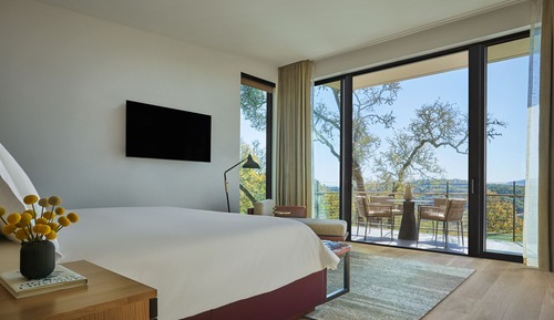 Q - Deluxe Mountain One Bedroom Suite