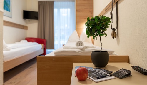 Habitación estándar con 2 camas individuales (Zweibettzimmer Bergblick)