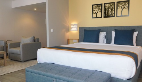 Suite Premium