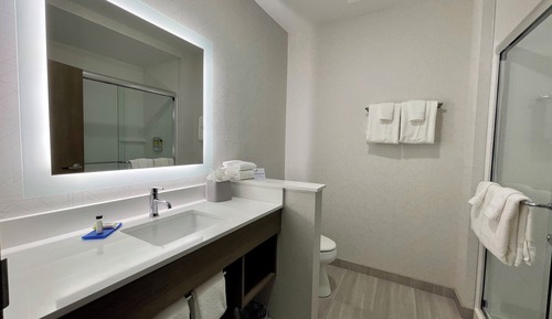 Habitación estándar, 1 cama de matrimonio grande (Walk-In Shower)