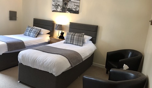 Habitación Deluxe con 2 camas individuales