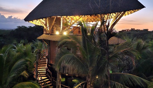 Casa en un árbol