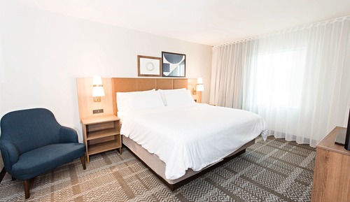Suite estudio, 1 cama de matrimonio grande, cocina (Hearing, Roll-In Shower)