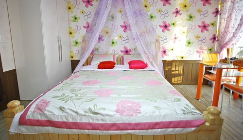 Estudio (Flora)