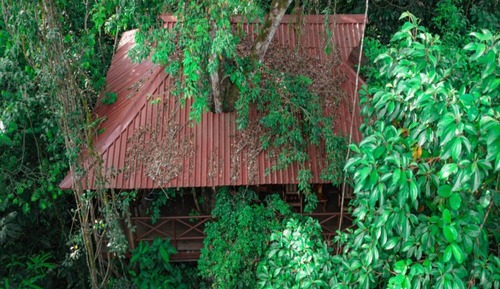 Casa en un árbol, 1 cama de matrimonio grande, vistas a la montaña