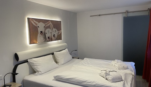 Habitación Confort doble
