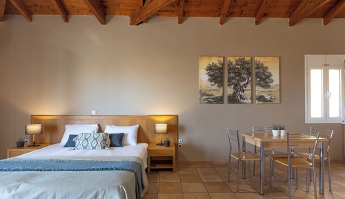 Estudio estándar, 1 habitación
