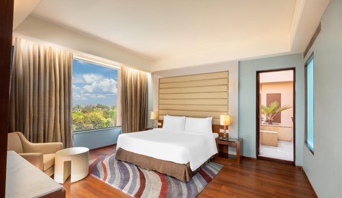 Suite ejecutiva (Metropolis)