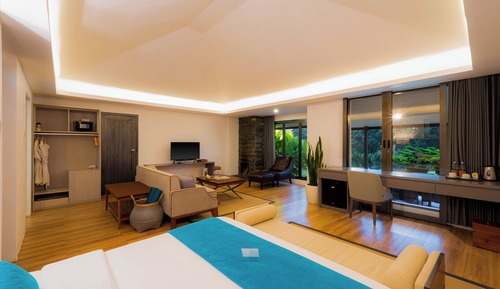 Suite Premium, 1 cama de matrimonio grande, en la zona del jardín (Chalet)