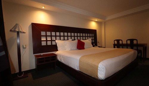 Habitación estándar, 1 cama de matrimonio grande, no fumadores
