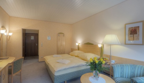Habitación individual estándar (Forest View)