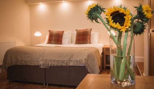Habitación Deluxe con 1 cama doble o 2 individuales, 1 cama de matrimonio grande