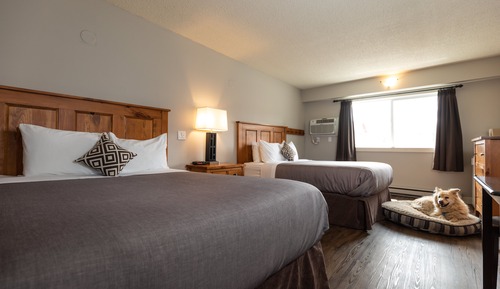 Habitación estándar, 2 camas de matrimonio (Pet Friendly)