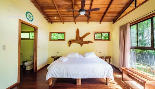 Habitación (Jungle)