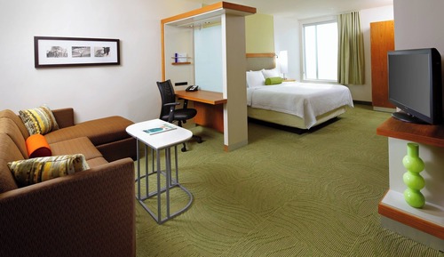 Estudio, 1 cama de matrimonio grande con sofá cama (Mobility/Hearing Access, Roll-In Shwr)