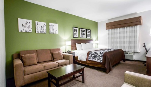 Habitación estándar, 1 cama de matrimonio grande con sofá cama