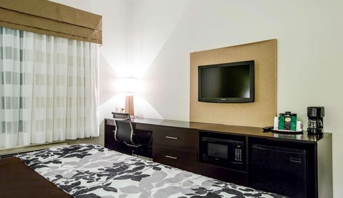 Habitación estándar, 1 cama de matrimonio grande