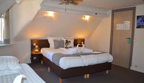 Habitación triple (Double Use)