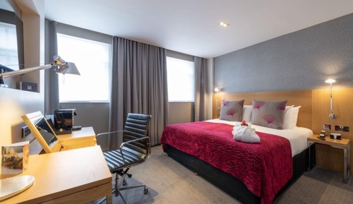 Habitación City, 1 cama de matrimonio grande
