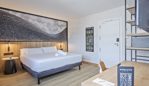 Habitación estándar, 1 cama doble