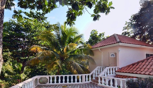 Deluxe King Room (Plantain)