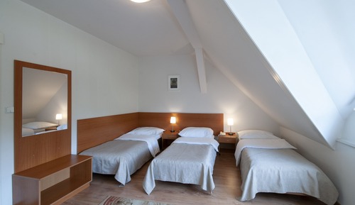 Habitación triple básica