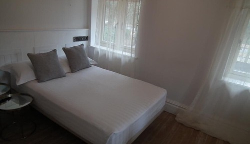 Habitación individual ejecutiva