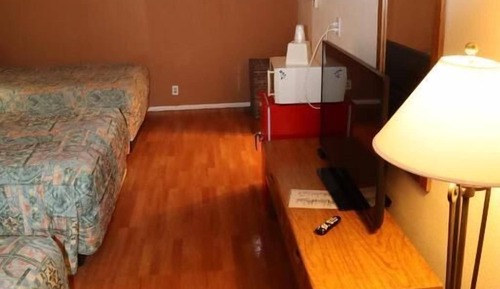 Habitación estándar, varias camas, no fumadores (Not Pet Friendly)