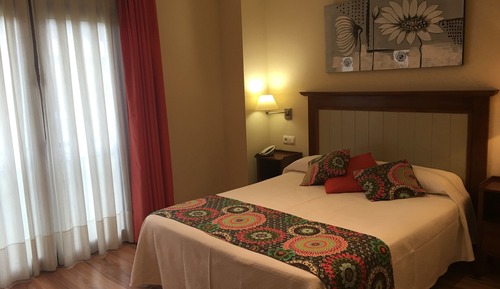 Habitación económica con 1 cama doble o 2 individuales