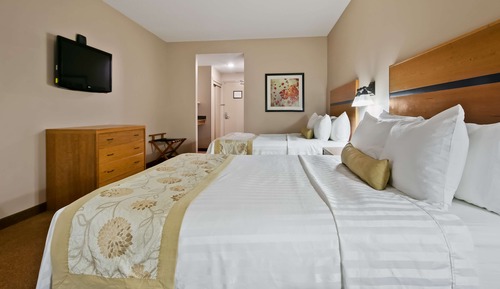 Habitación estándar, 2 camas de matrimonio, no fumadores, frigorífico y microondas (Pet Friendly)