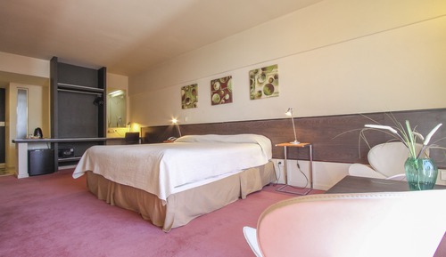 Habitación doble superior, 1 cama de matrimonio grande