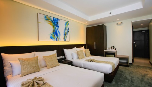 Deluxe Twin Room (Mayon View)
