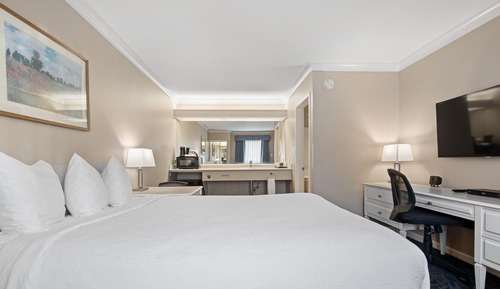 Habitación Deluxe, 1 cama de matrimonio (Deluxe Queen Room)