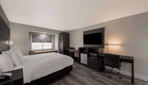 Habitación estándar, 1 cama de matrimonio grande, no fumadores, frigorífico y microondas