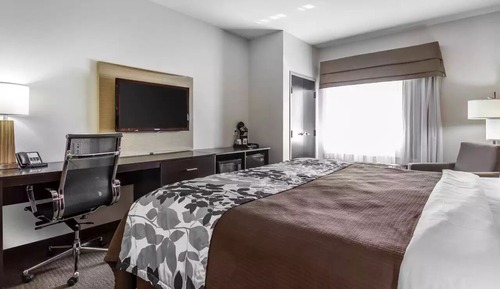 Habitación estándar, 1 cama de matrimonio grande, no fumadores