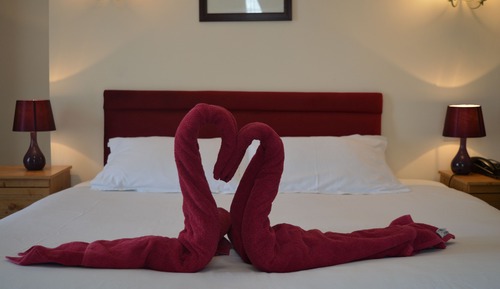 Habitación estándar doble, 1 cama doble, baño privado