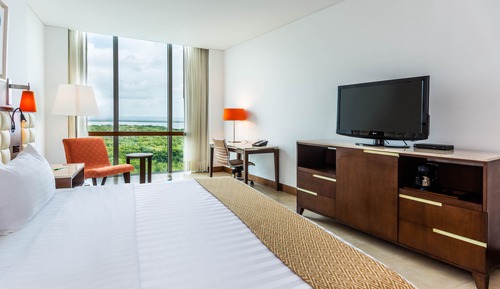Suite, 1 cama de matrimonio grande
