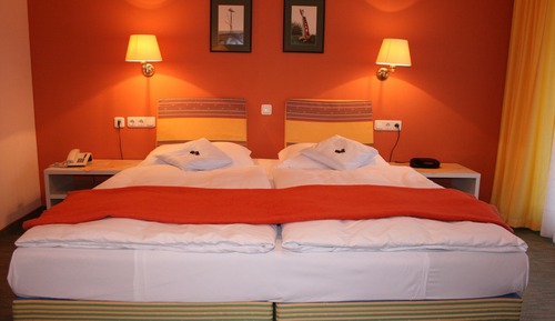 Habitación estándar doble, 1 cama doble