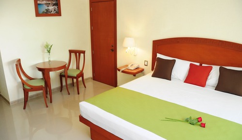 Habitación estándar, 1 cama de matrimonio grande