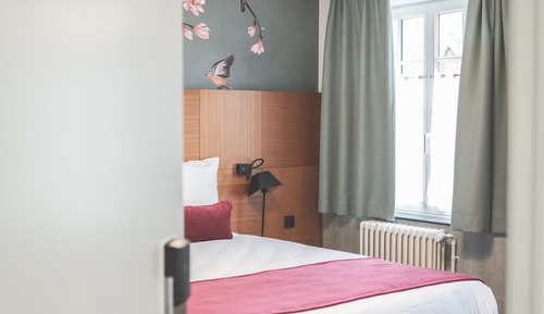Habitación Confort con 1 cama doble o 2 individuales