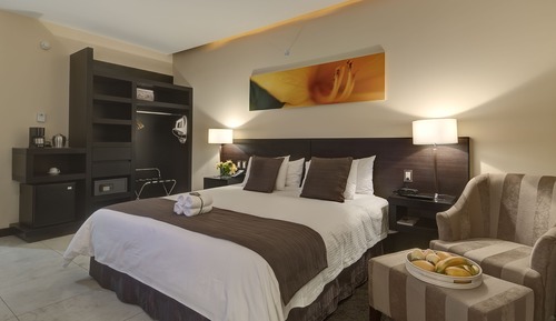 Standard Studio with King Bed