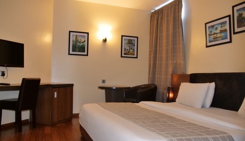 Suite estudio junior