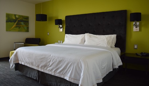Habitación estándar, 1 cama de matrimonio grande
