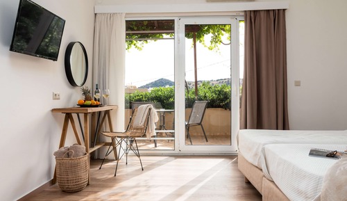 Habitación superior con 1 cama doble o 2 individuales