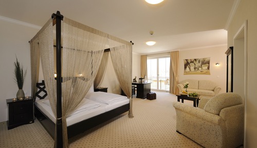 Suite estudio junior